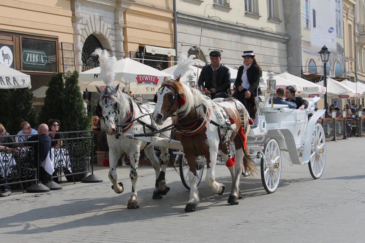 Déplacement Rybnik