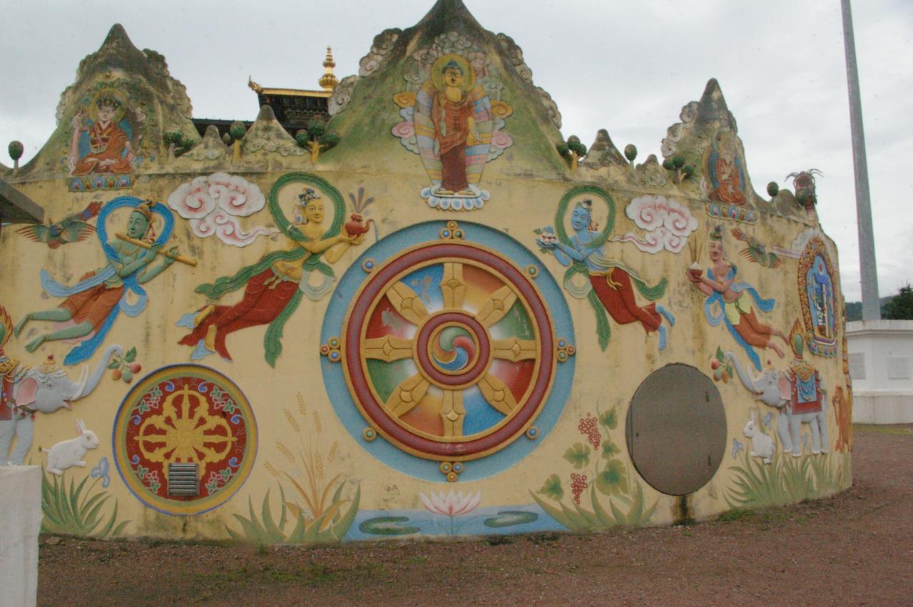 IMGP3229