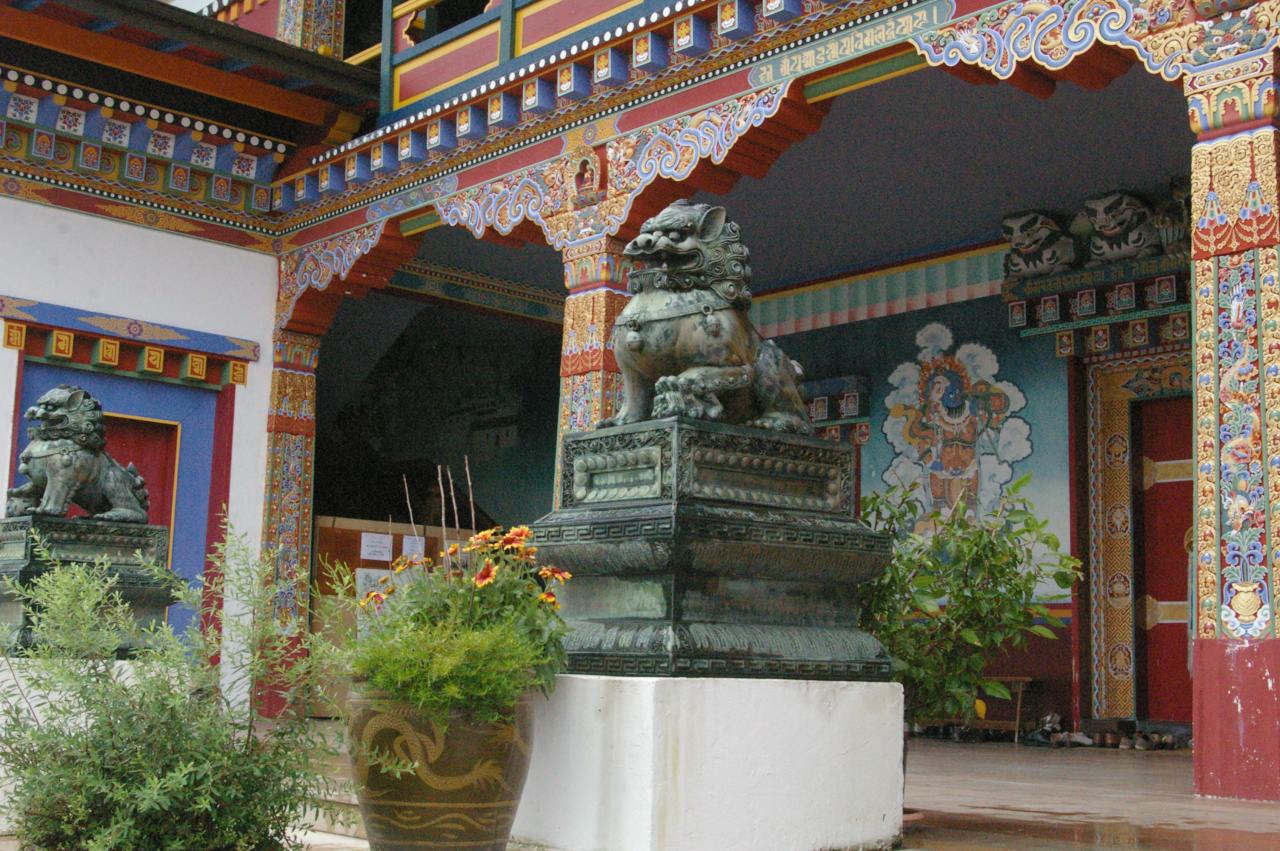 IMGP3242
